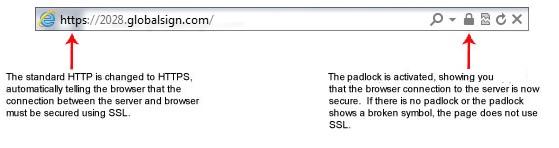 ssl-domain-standard-bar-example.png